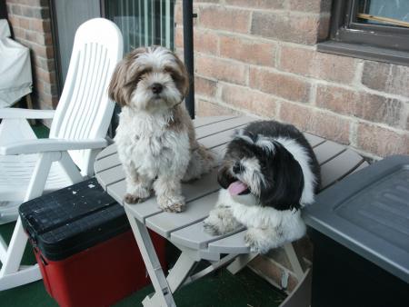PeeWee & Frimousse