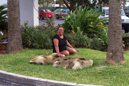  toi ma soeur