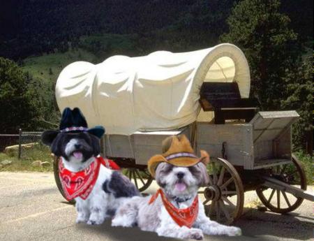 Frimousse & PeeWee